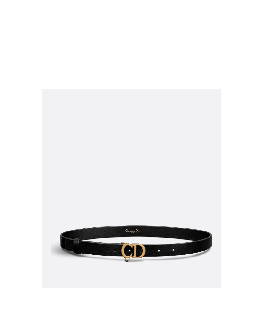 Dior Saddle Removable Bag Belt In Black