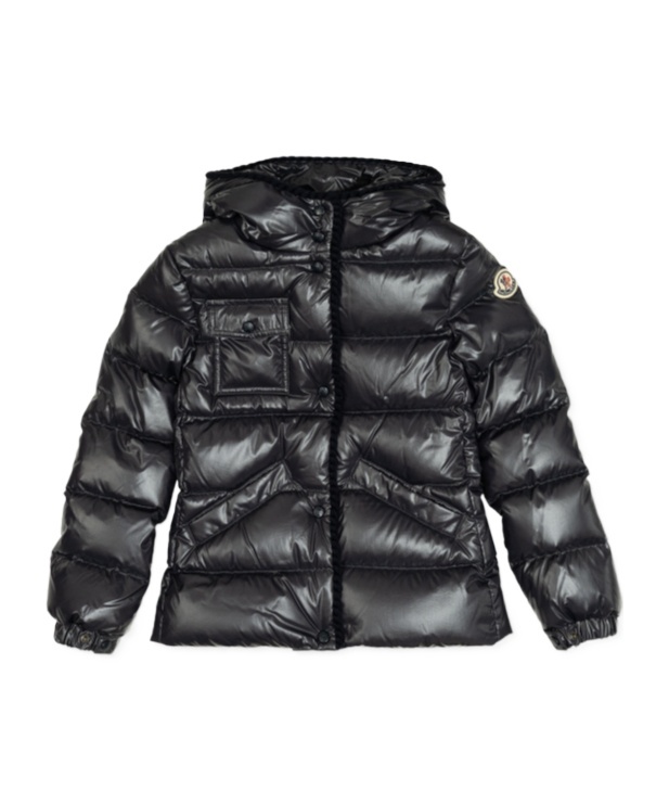 Moncler Long Sleeve Down Jacket