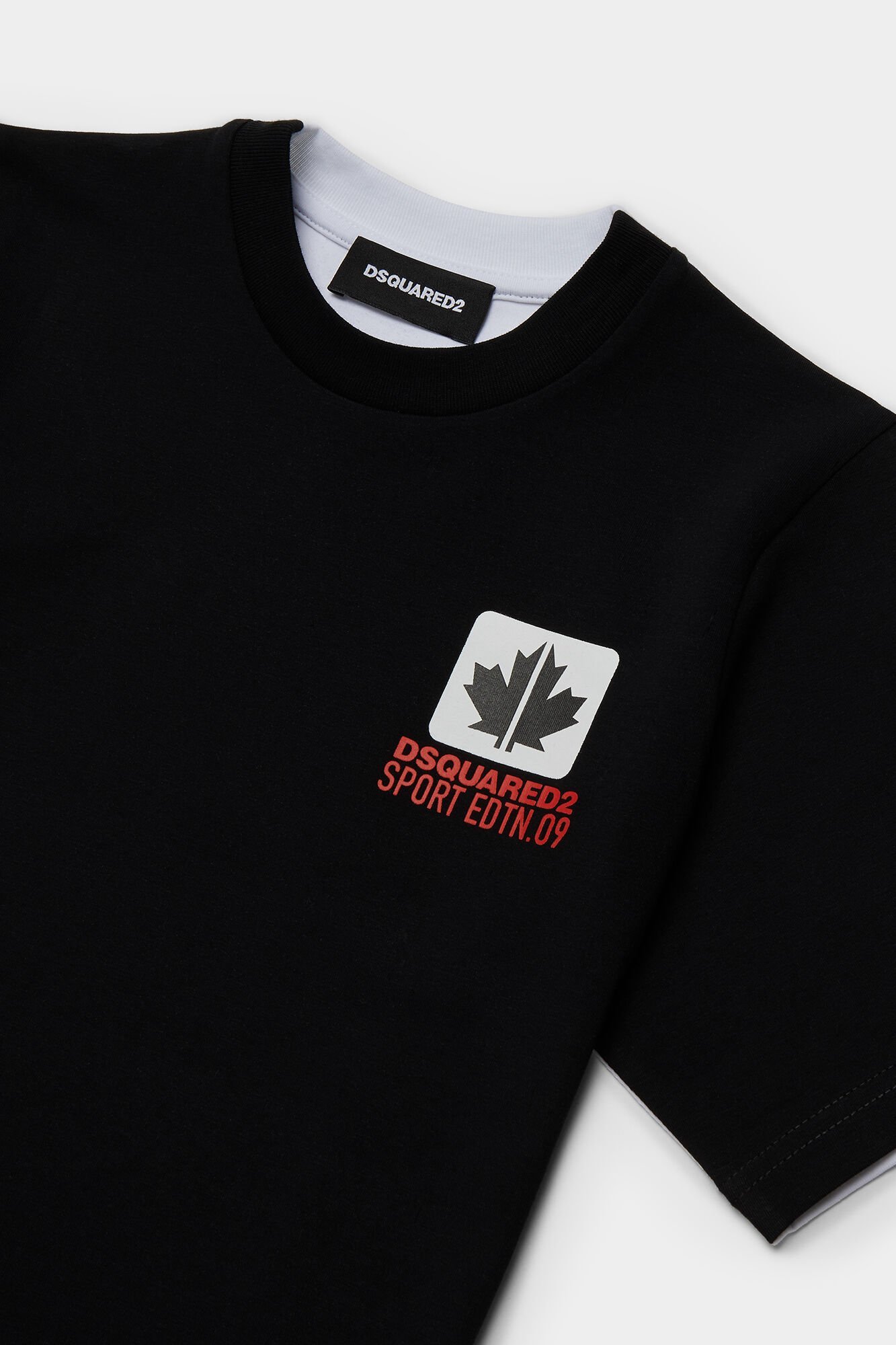 Dsquared2 Maple-leaf Print T-shirt In Black