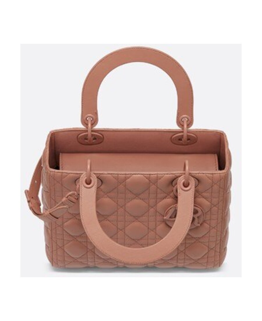 Dior Medium Matte Handbag In Pink
