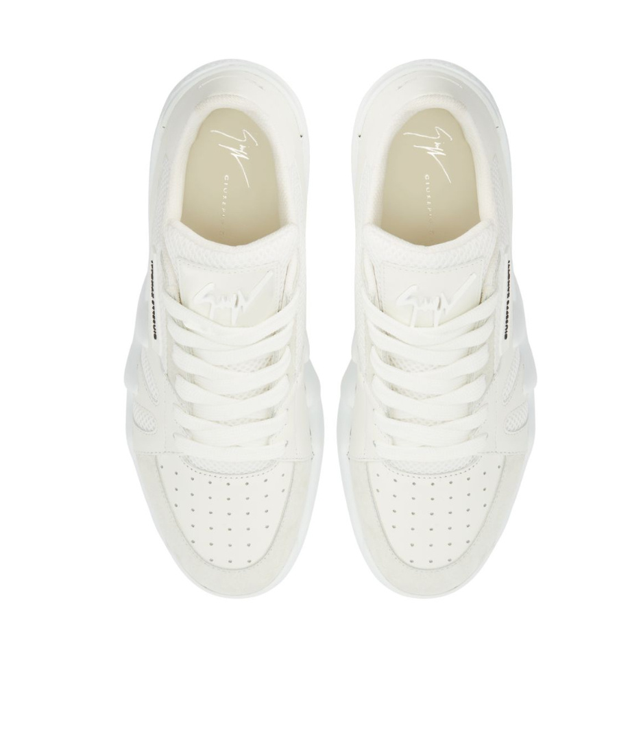 Shop Giuseppe Zanotti Talon Low-top Sneakers In White