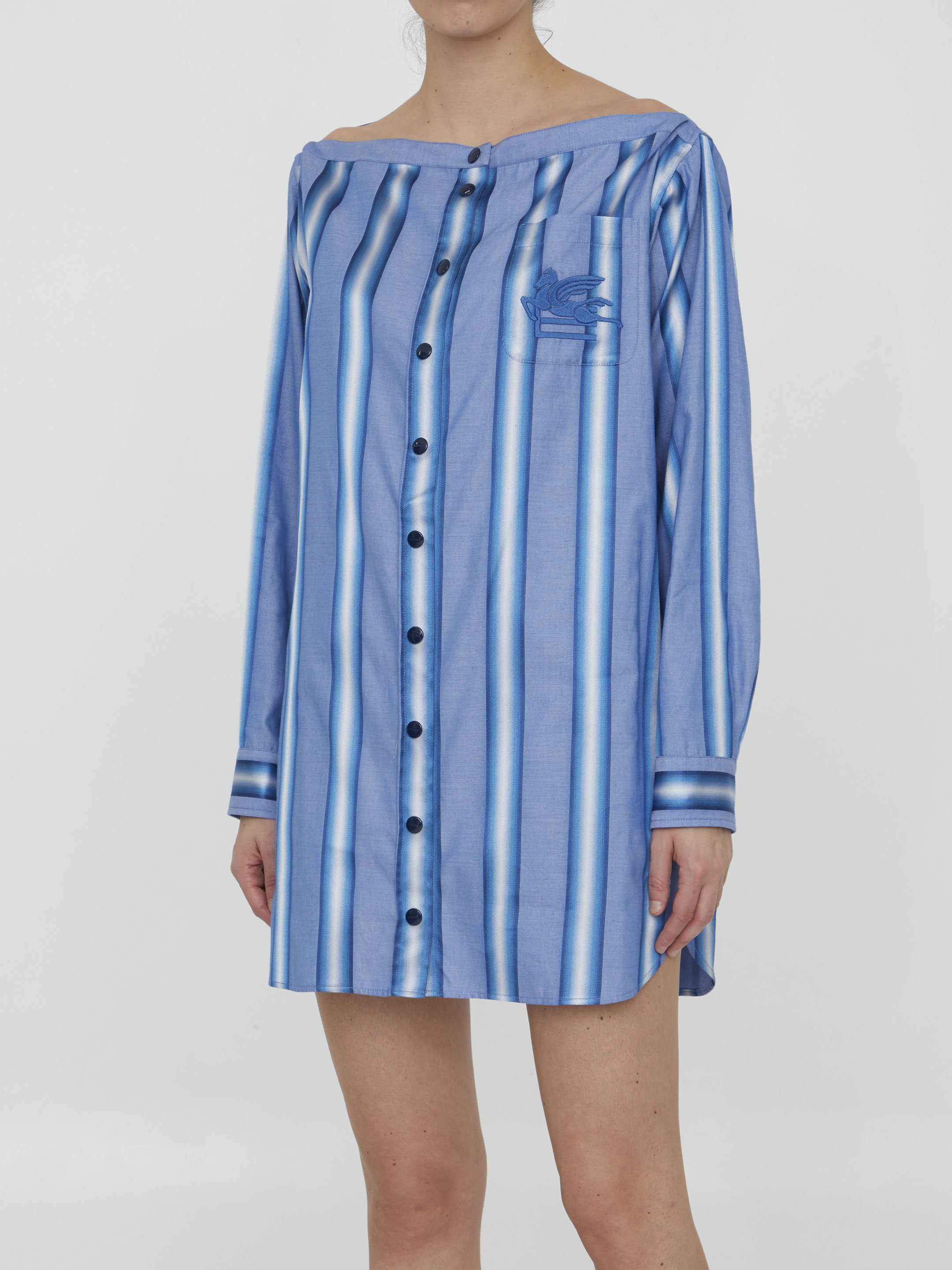 Etro Dresses In Blue