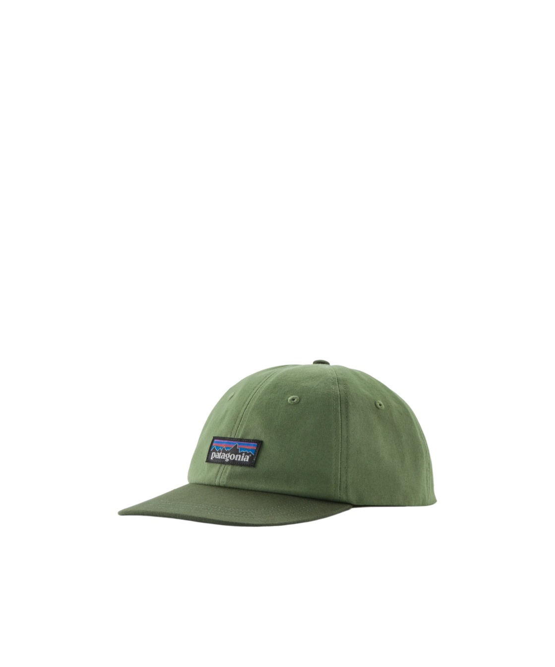 Patagonia Logo Hat In Green