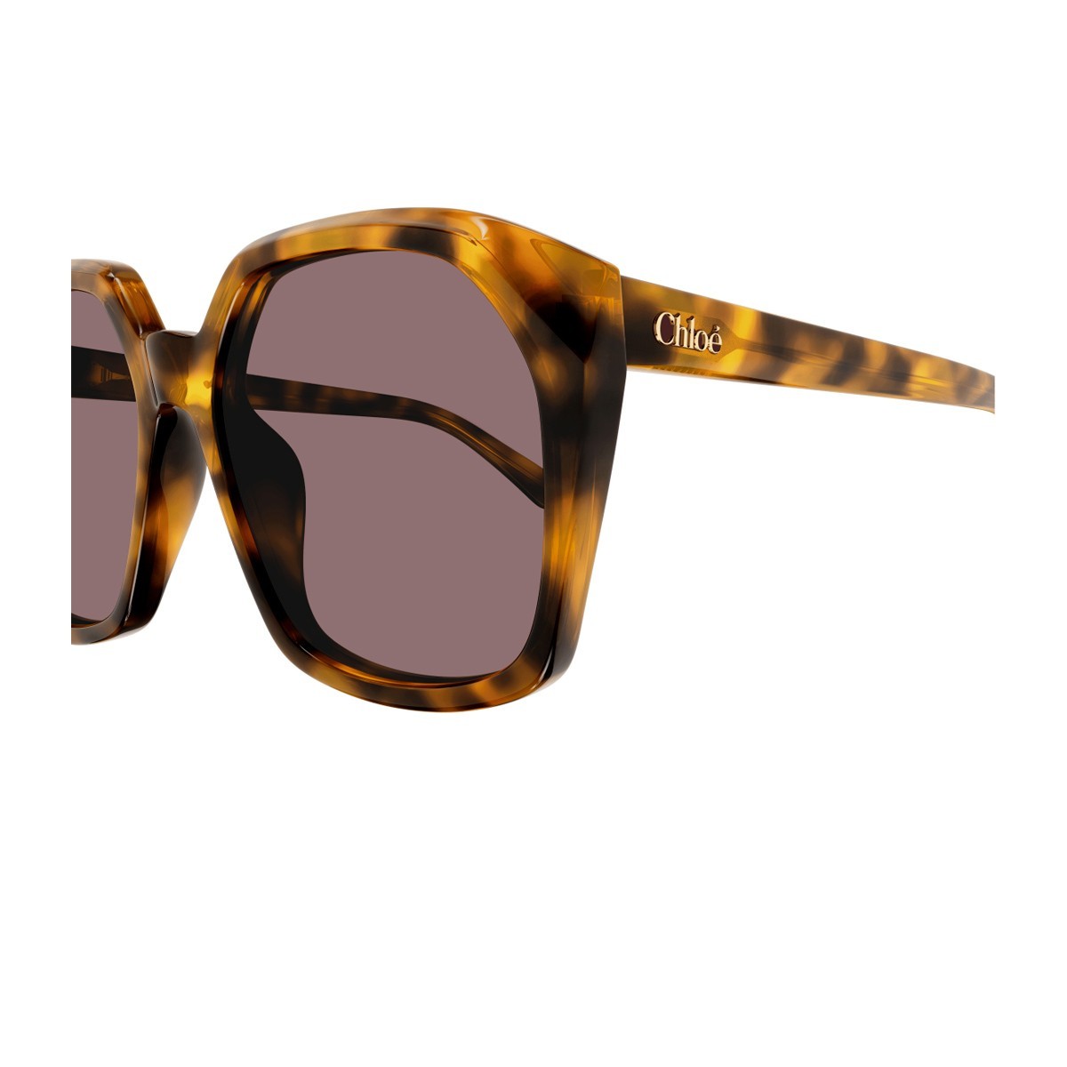 Chloé Salome Sunglasses In Gray