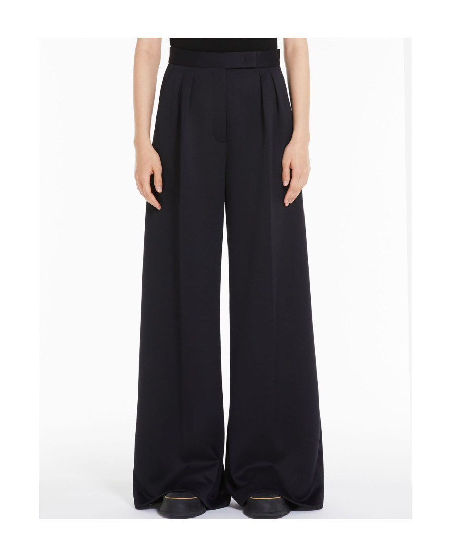 Max Mara Zinnia Pleat Detailed High Waist Pants In Black