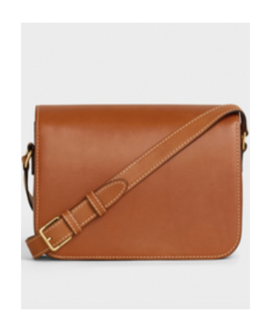 Celine Ten Trimphe Cross-body Bag In Brown