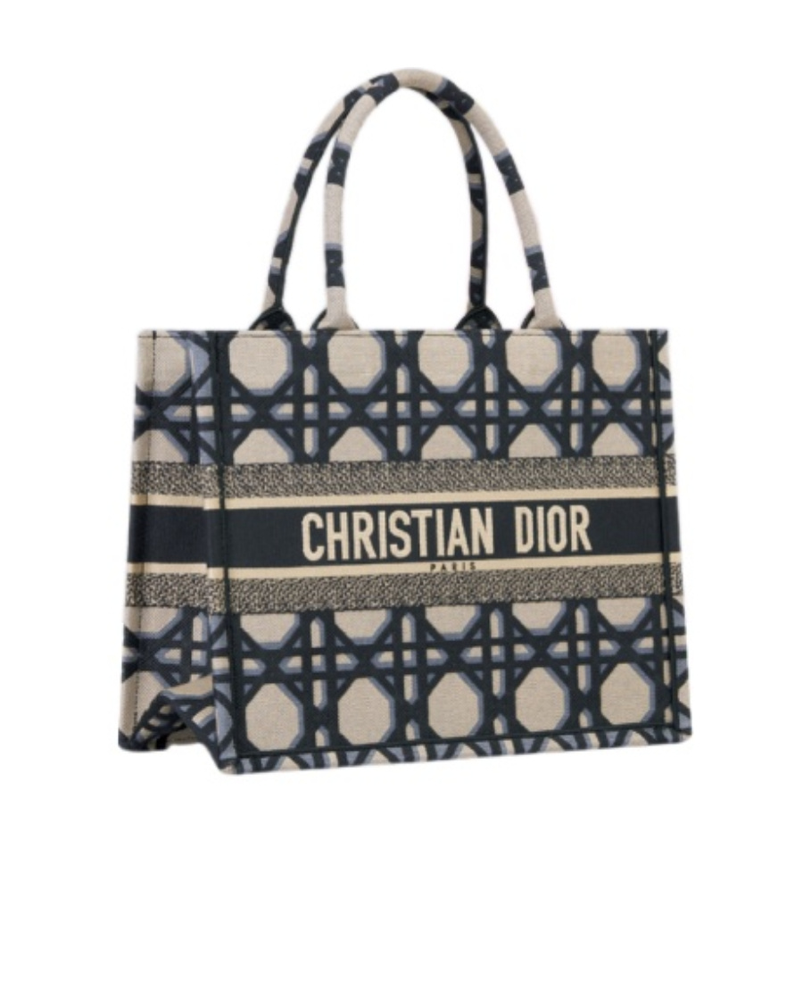 Dior Book Medium Handbag In Gray