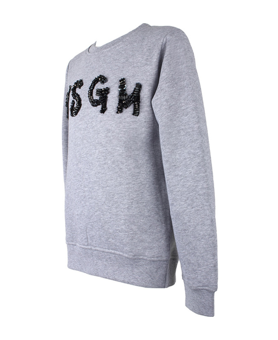 Msgm Logo Hoodie In Gray