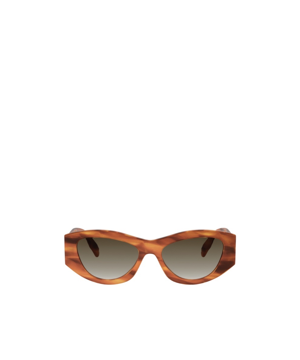 Celine Full Frame Sunglasses In Brown
