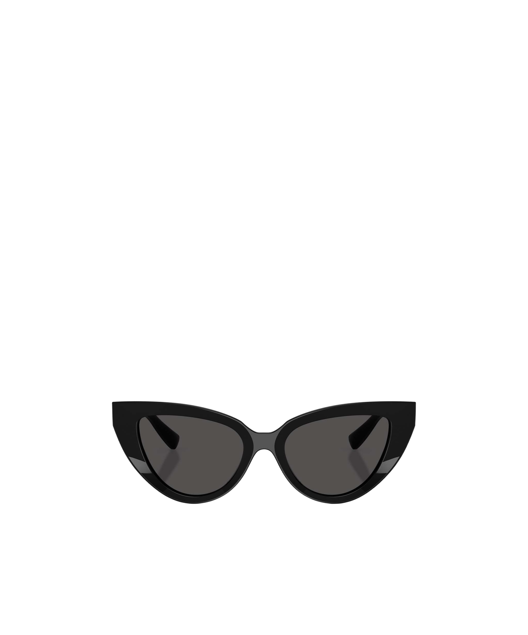 Dolce & Gabbana Full Frame Sunglasses