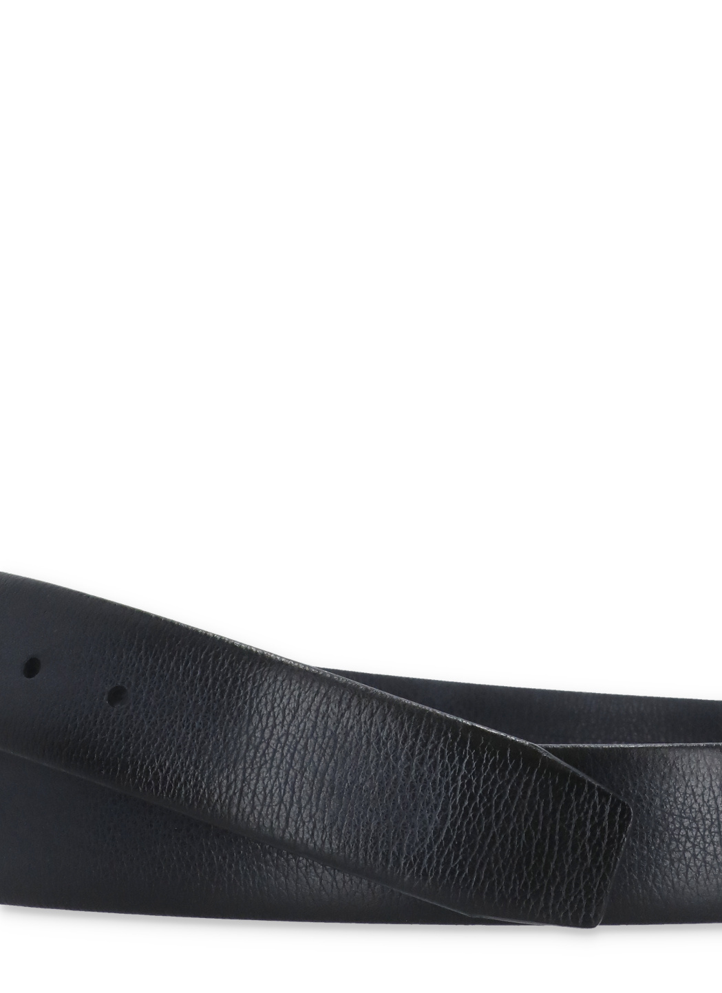 Orciani Logo Belt In Black