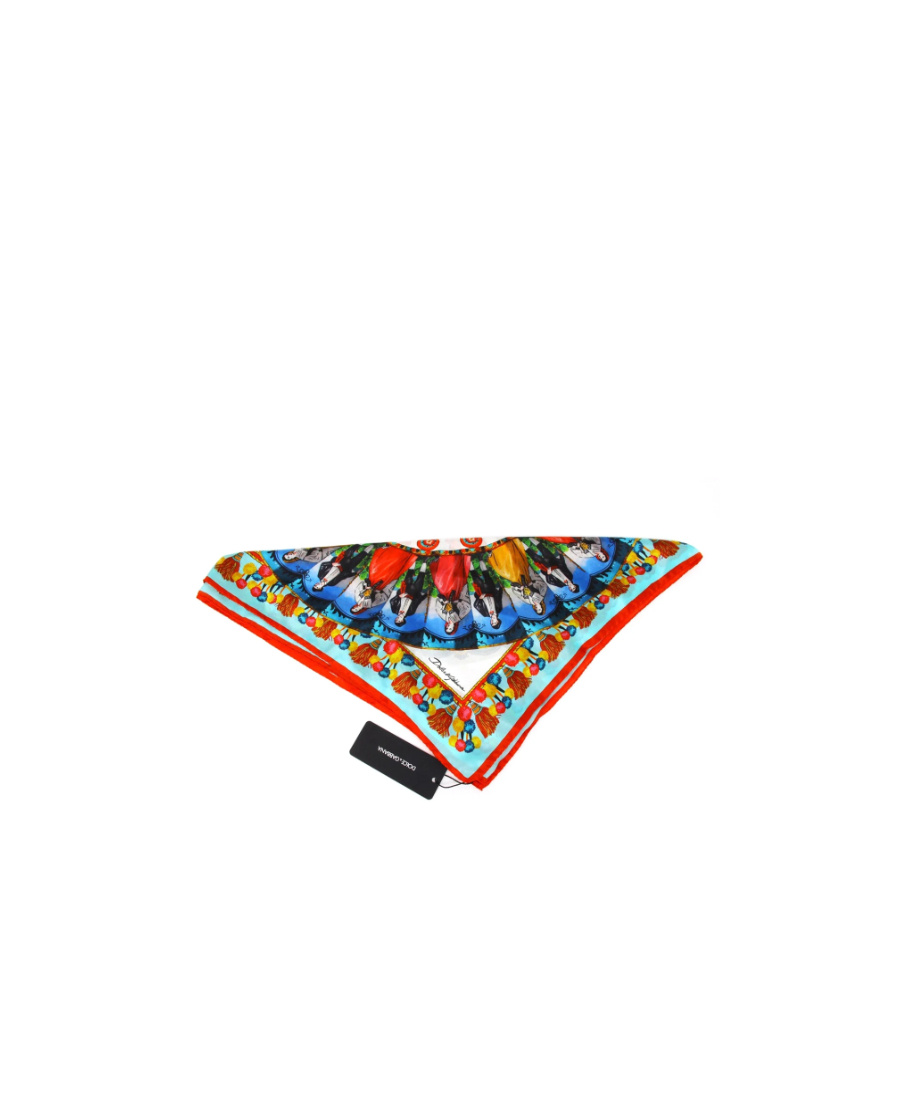 Dolce & Gabbana Printed Scarf In Multicolor