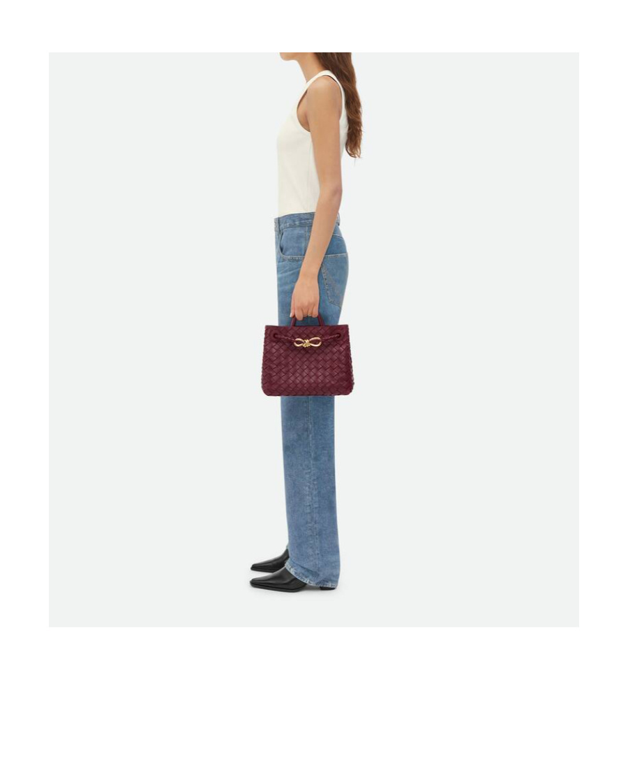 Shop Bottega Veneta Small Andiamo In Red