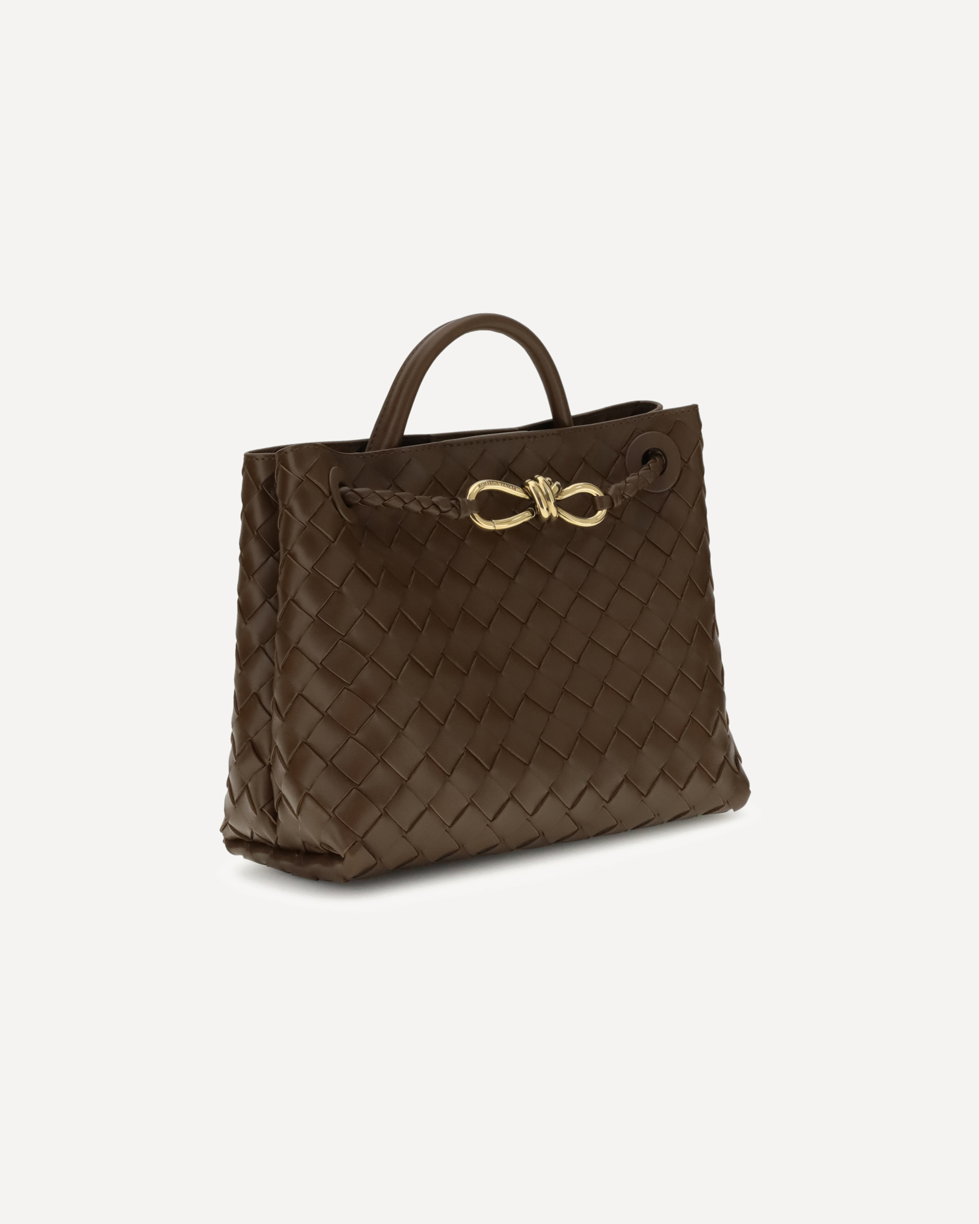 Bottega Veneta Small Andiamo In Brown