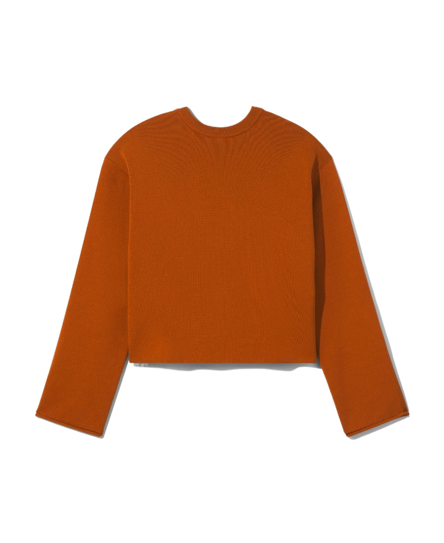 Proenza Schouler Long-sleeved Sweater With Twisted Back In Brown