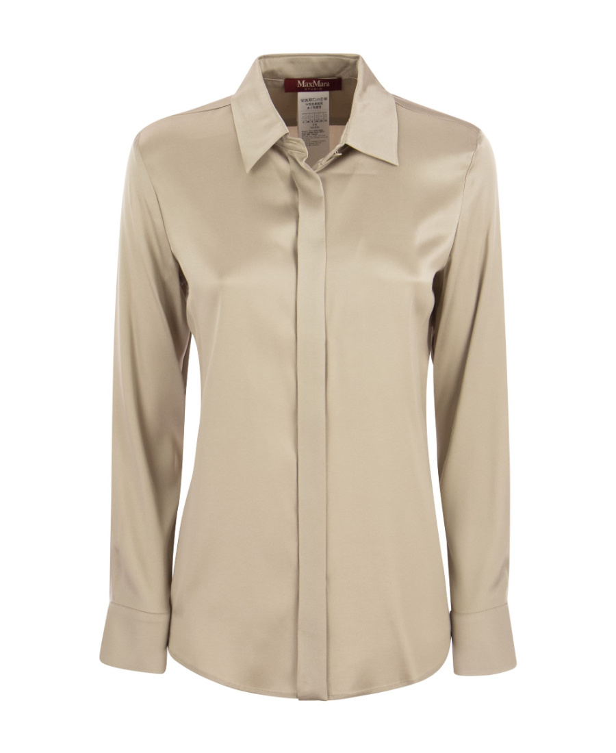 Max Mara Long-sleeved Pointed Collar Shirt In Nude