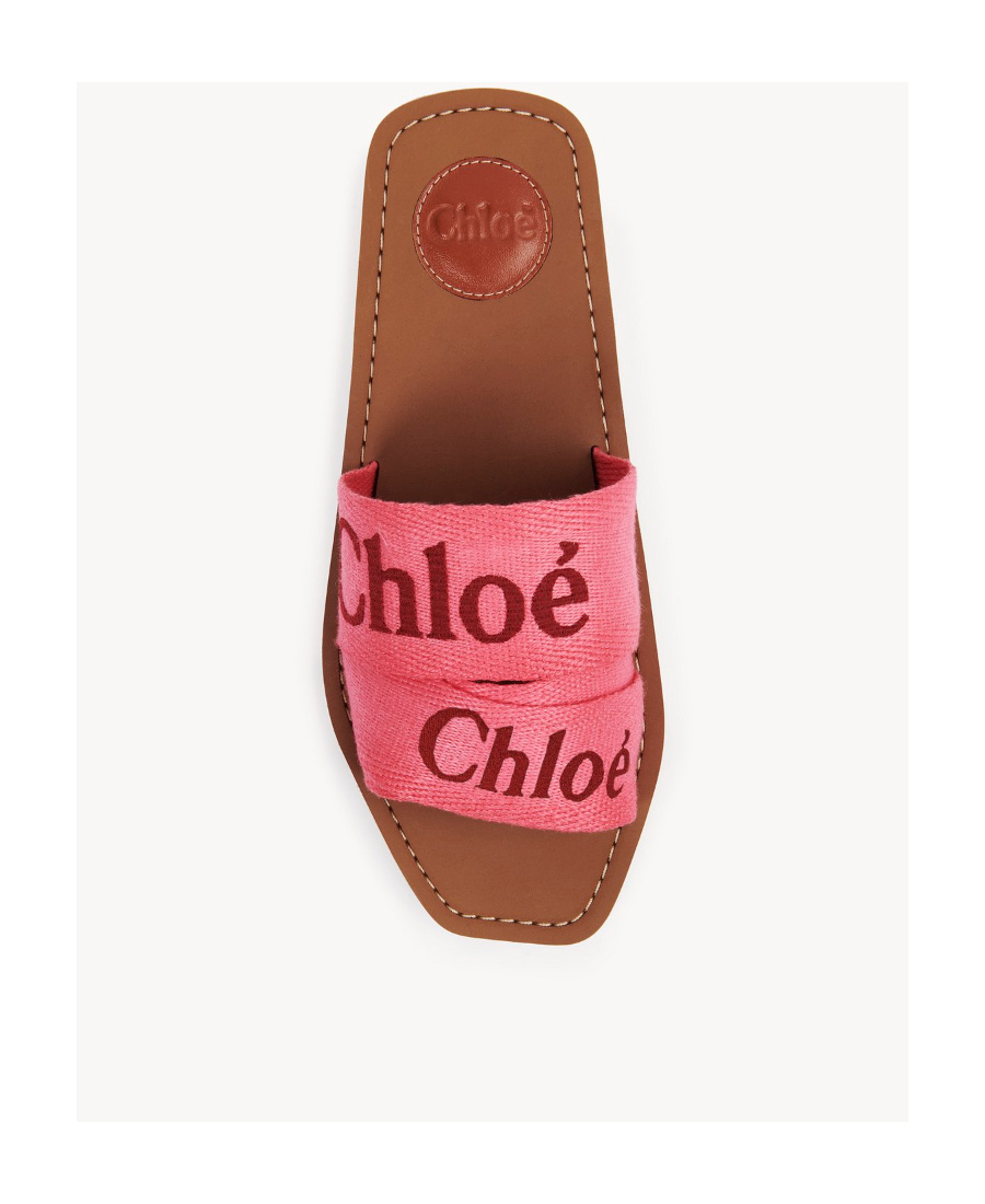 Shop Chloé Woody Logo-print Slides In Brown