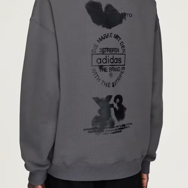 Y-3 Graphic Hoodie Granit In Gray