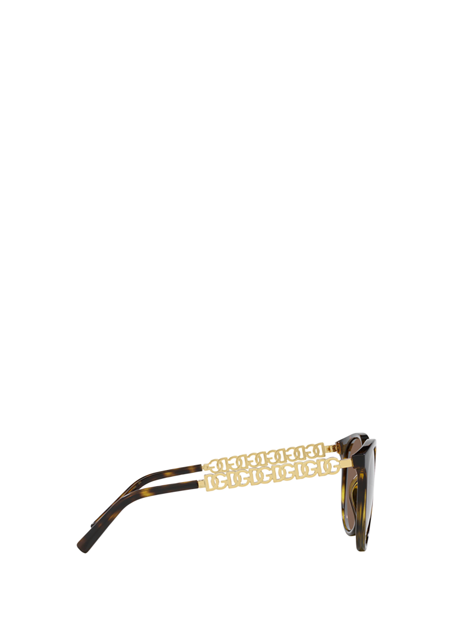 Dolce & Gabbana Full Frame Sunglasses In Brown