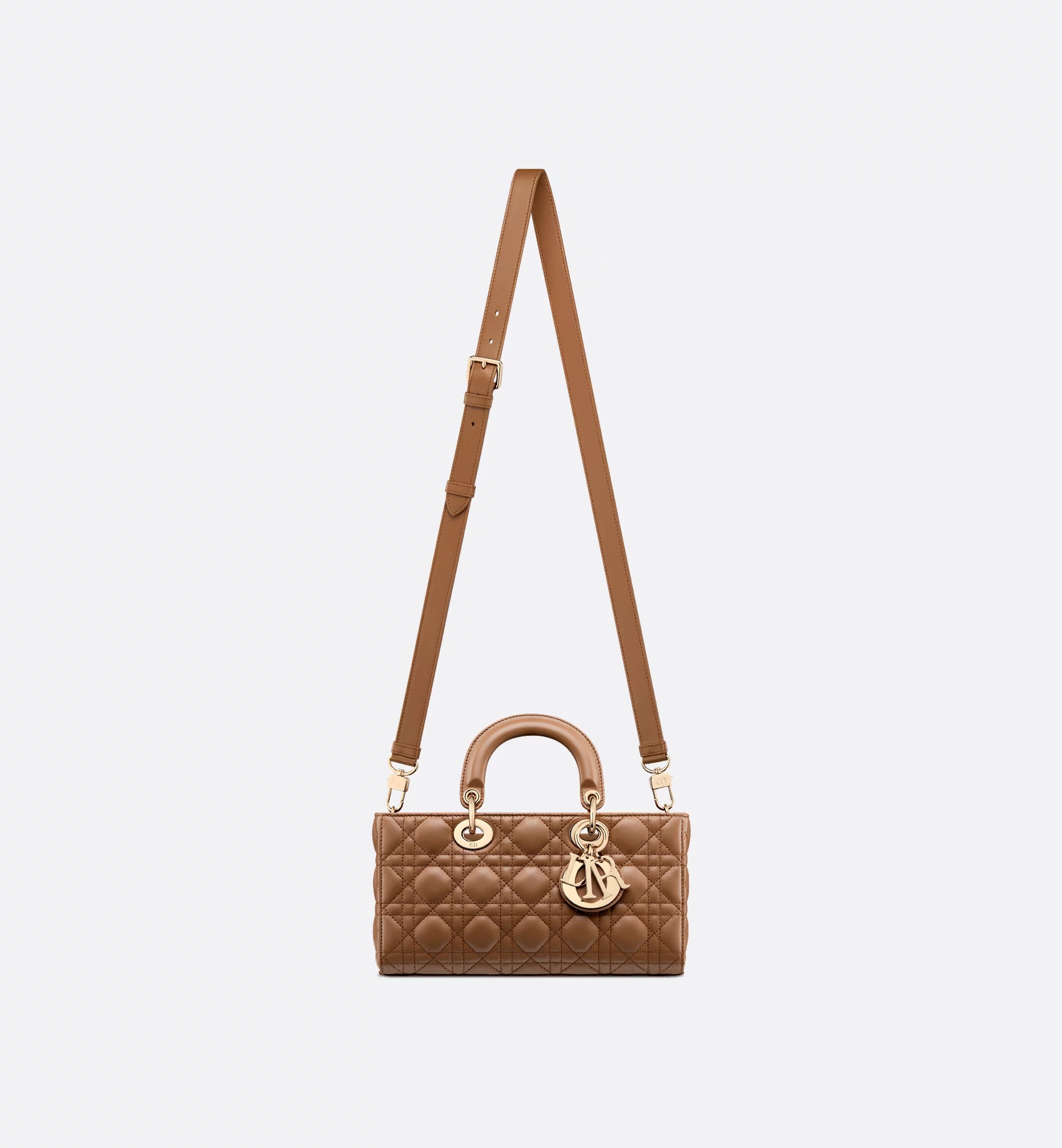 Dior Medium Lady D-joy Bag In Brown