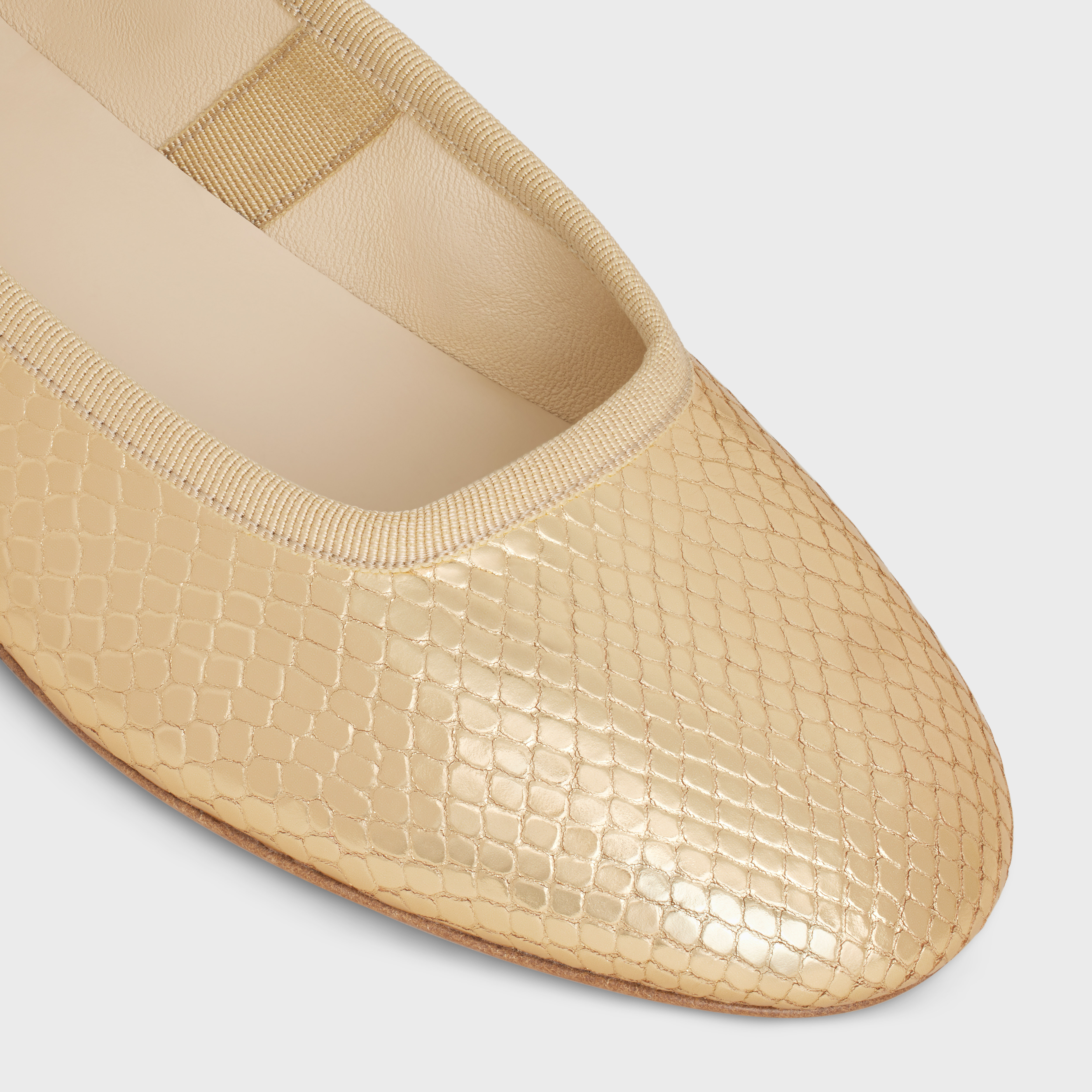 Celine Les Ballerines Ballet Shoes In Nude