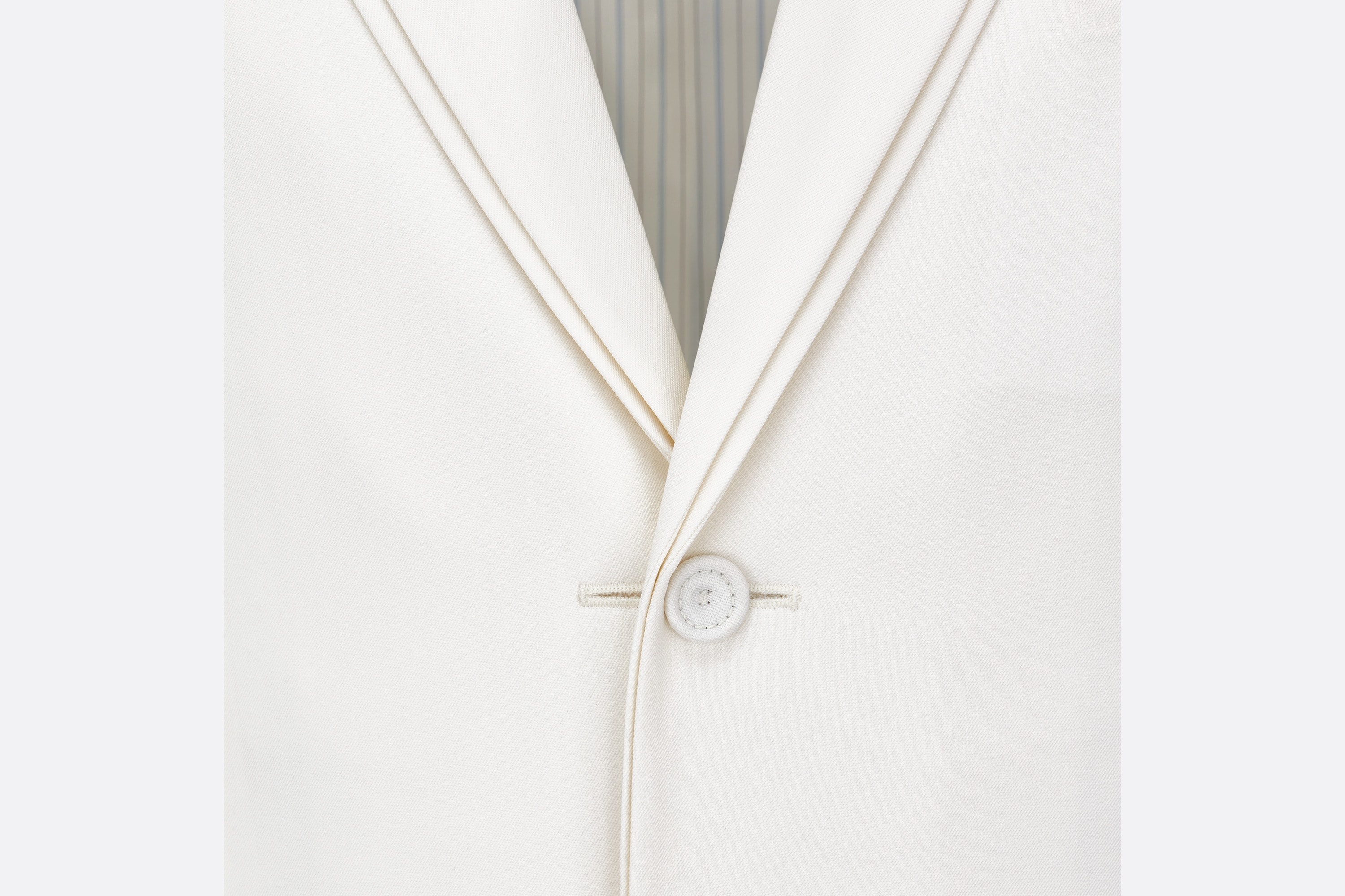 Dior Single-breasted Suit Jacket In White