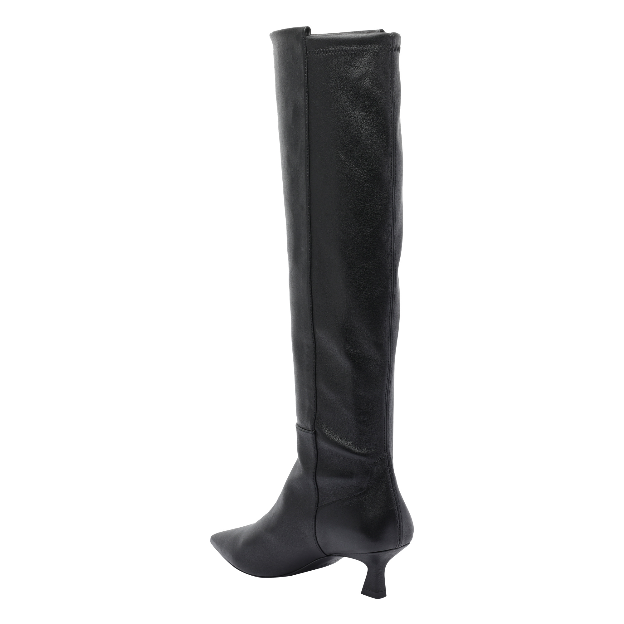 Stuart Weitzman Pointed-toe Boots In Black