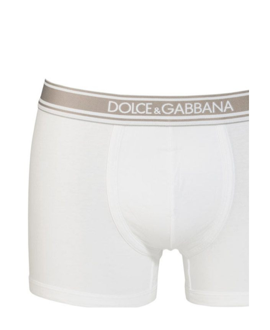 DOLCE & GABBANA LOGO DETAIL PANTIES