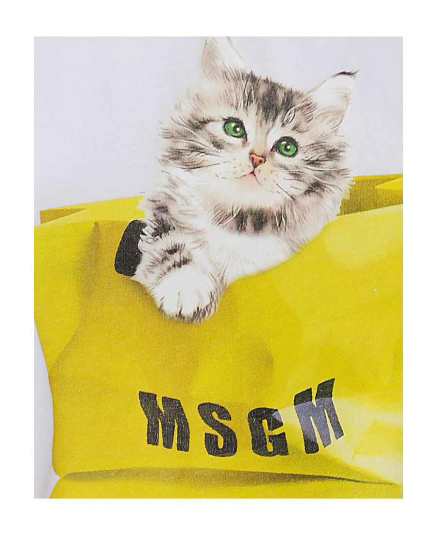 Msgm Graphic-print Short-sleeved T-shirt In White
