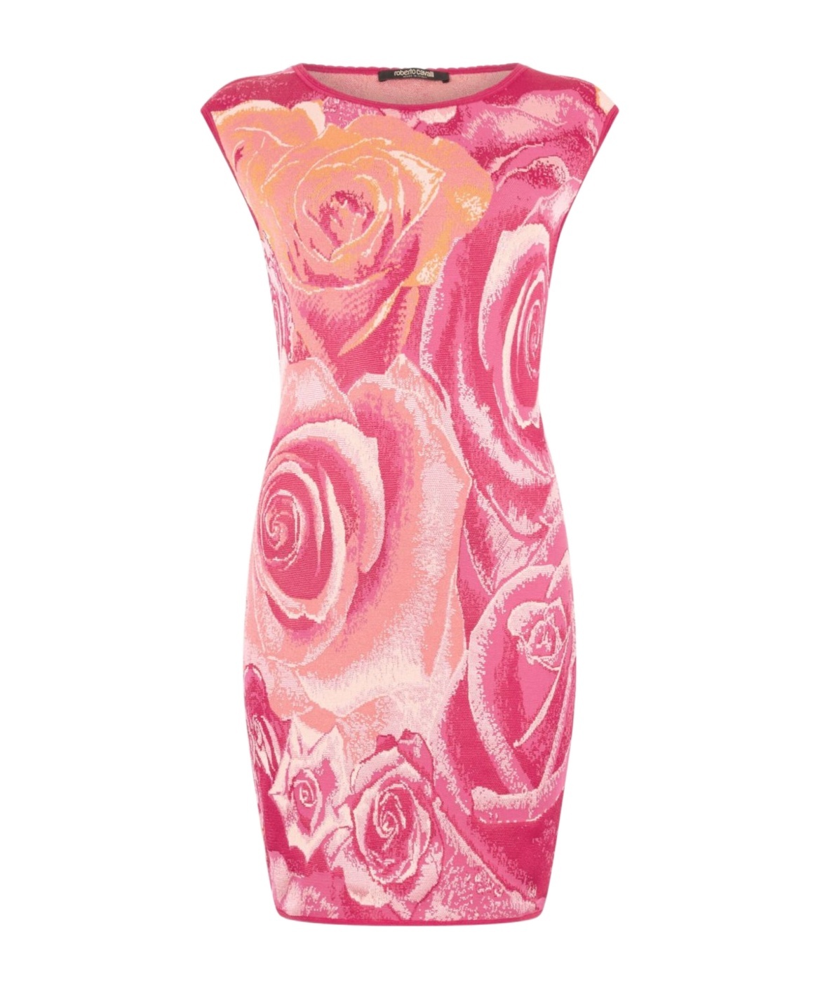 Roberto Cavalli Mini Dress With Garden Rose Print In Pink