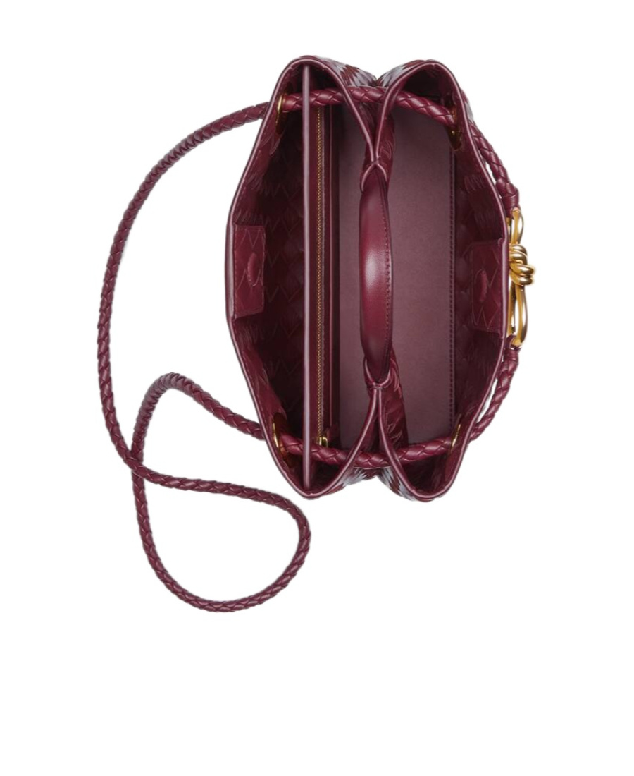 Shop Bottega Veneta Small Andiamo In Red