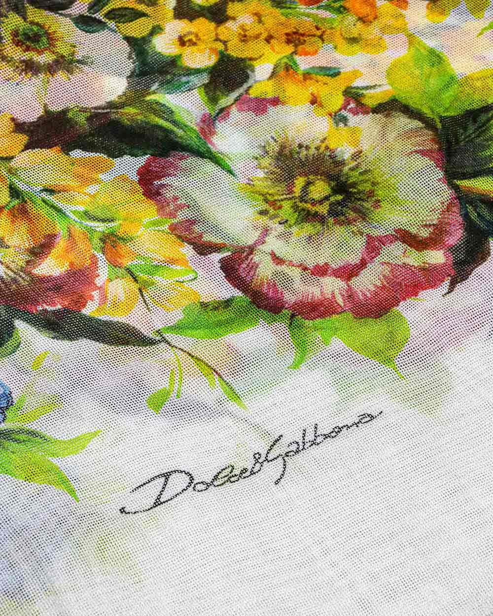 Dolce & Gabbana Printed Scarf In Multicolor
