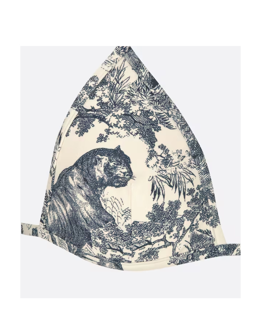 Dior Logo Bikini Swimsuit In Gray