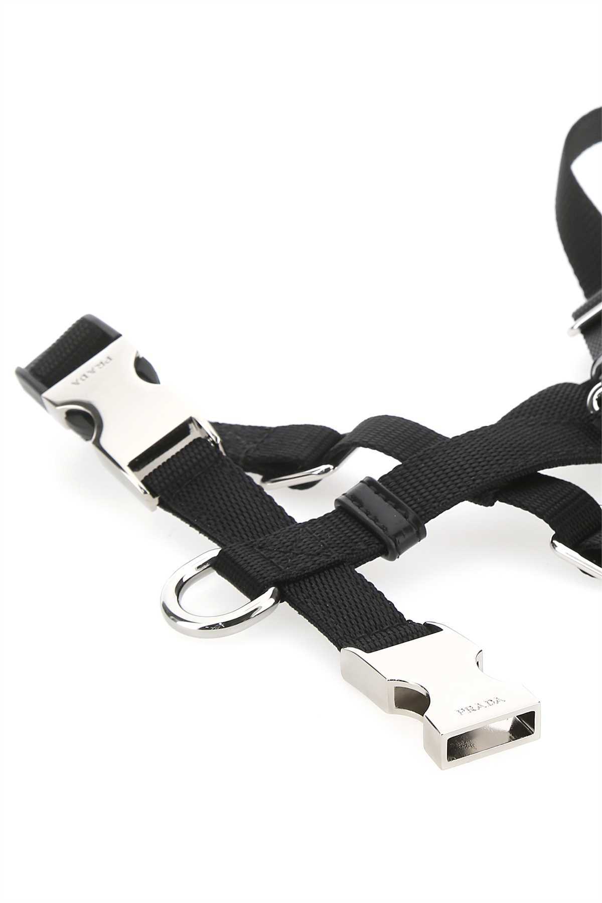 Prada Buckle-detail Dog Harness In Black