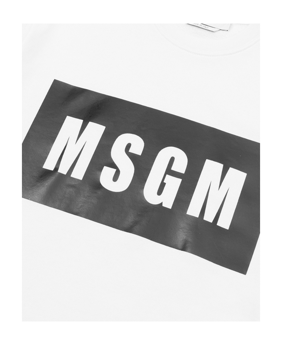 Msgm Logo Hoodie In White