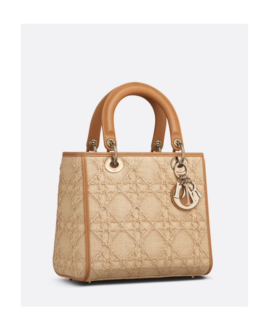 Dior Logo Handbag
