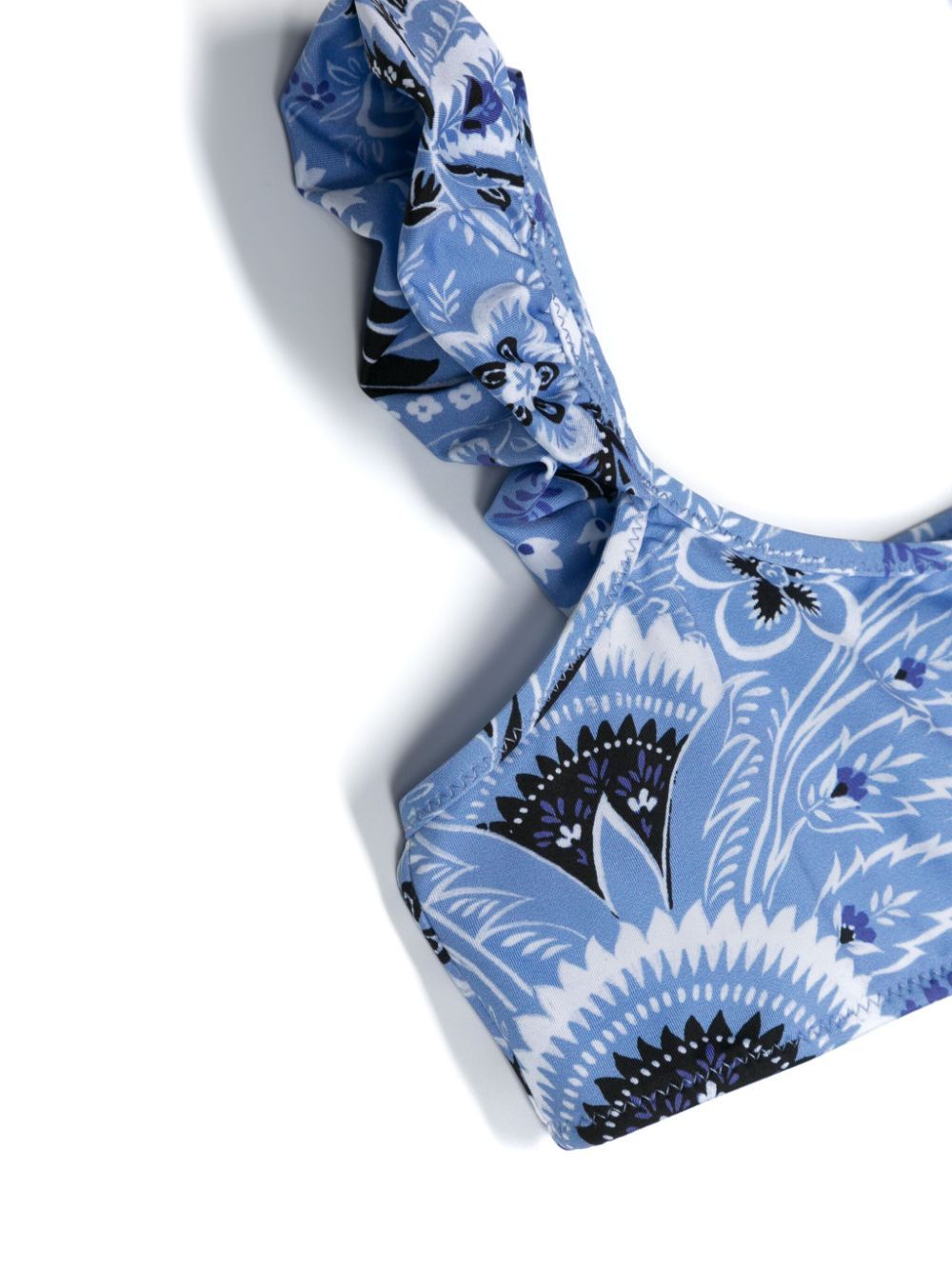 Etro Floral Pattern Bikini Set In Blue