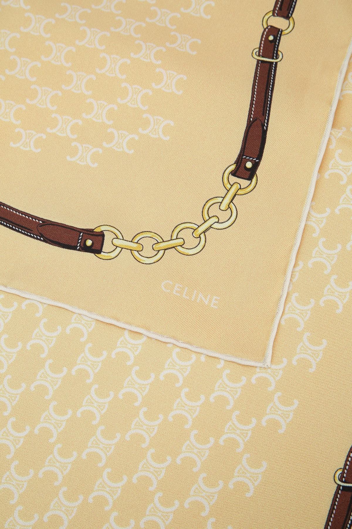 Celine Pattern Scarf In Brown