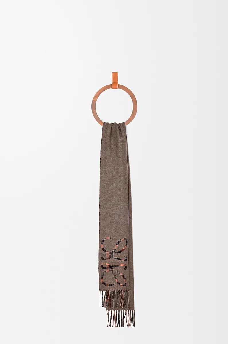 Loewe Tassel Scarf In Multi