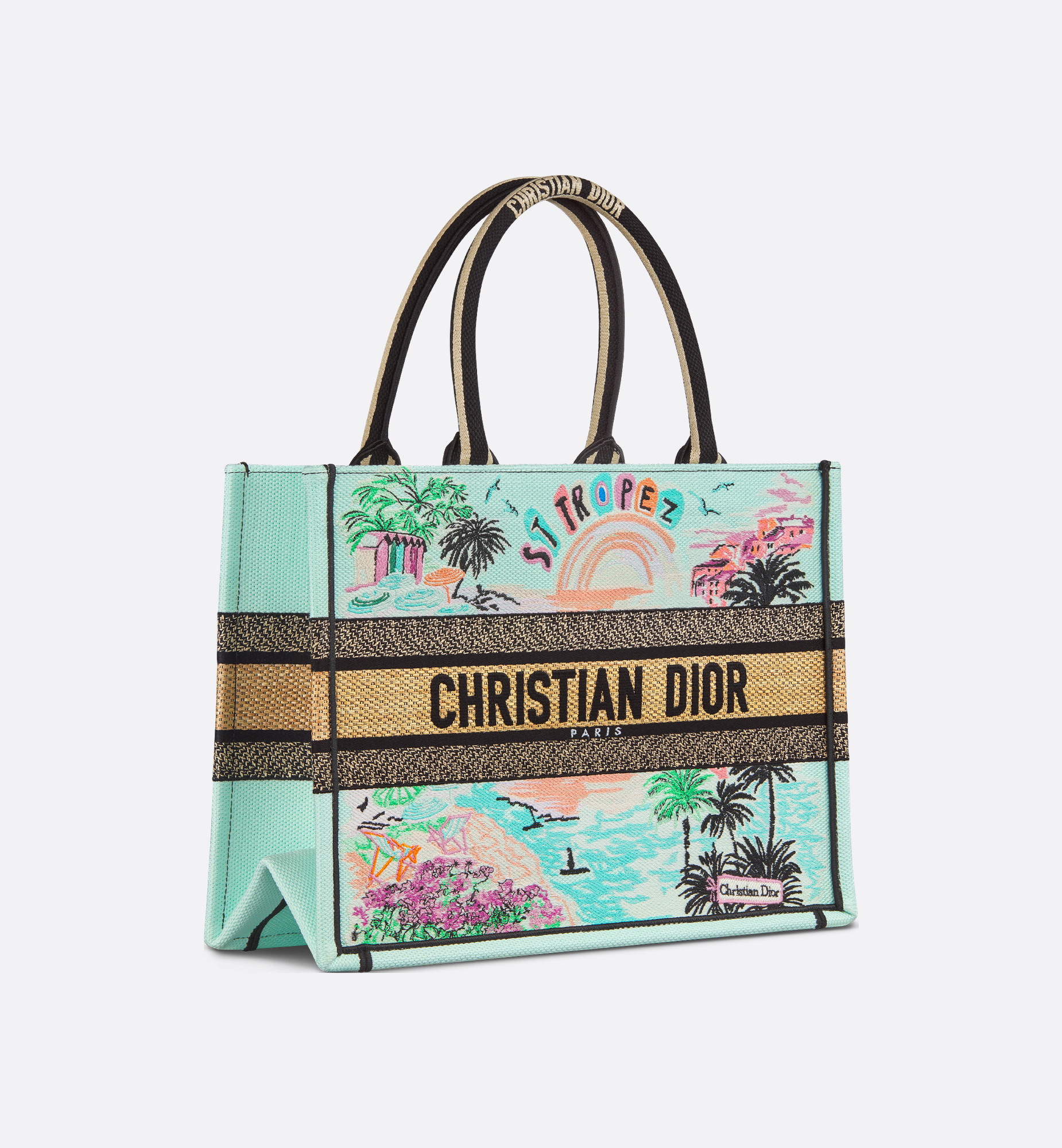 Dior St-tropez Souvenir Medium Book Tote In Multi