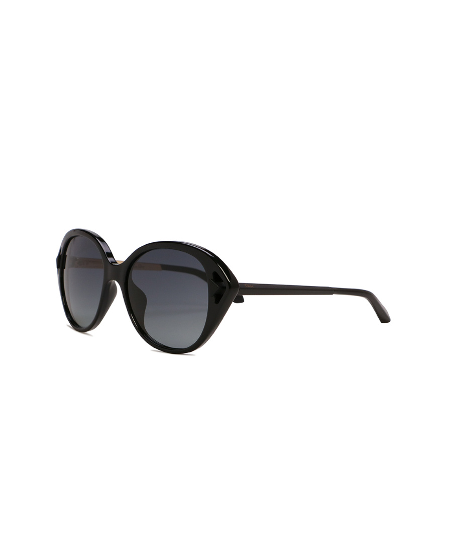 Dior Logo Sunglasses In Black
