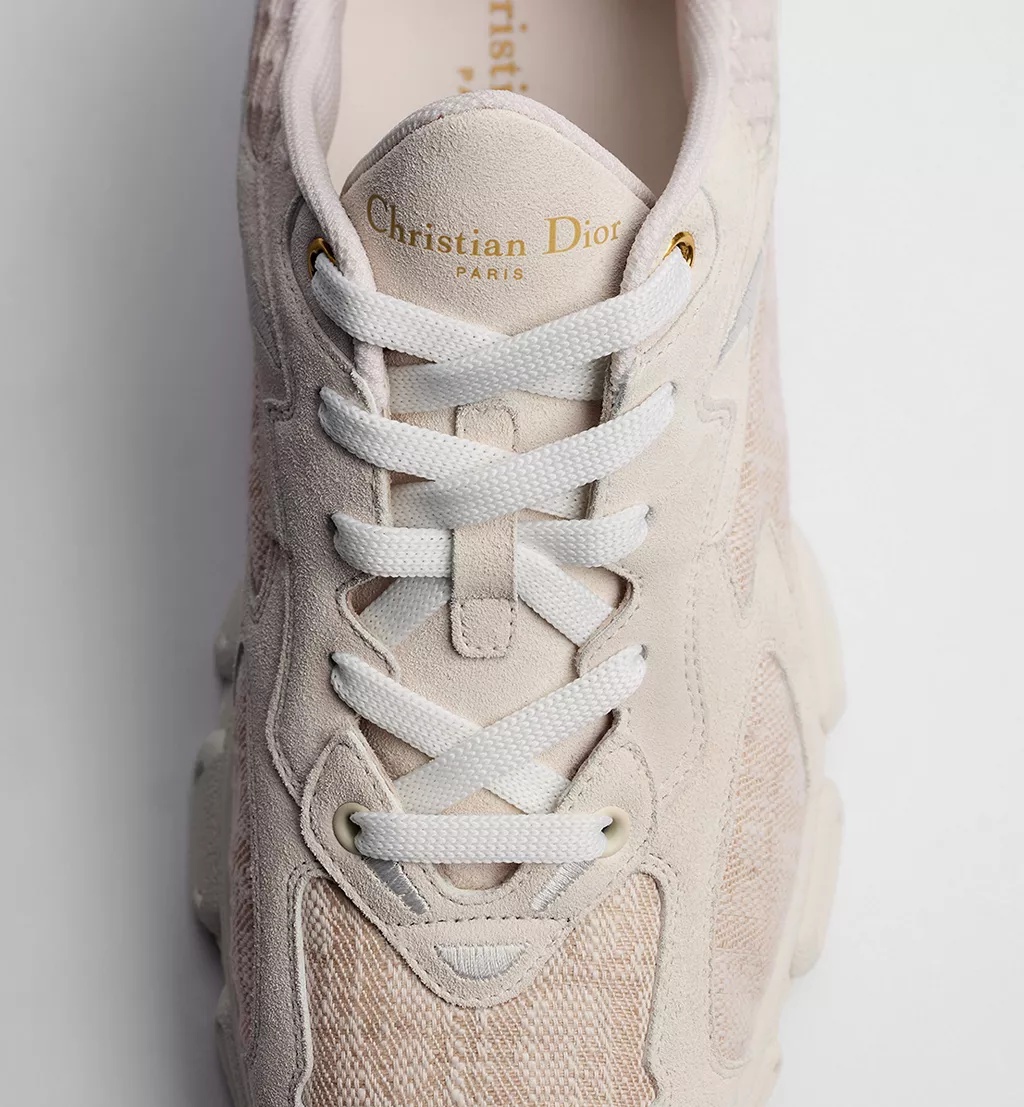 Dior Vibe Sneaker In Brown