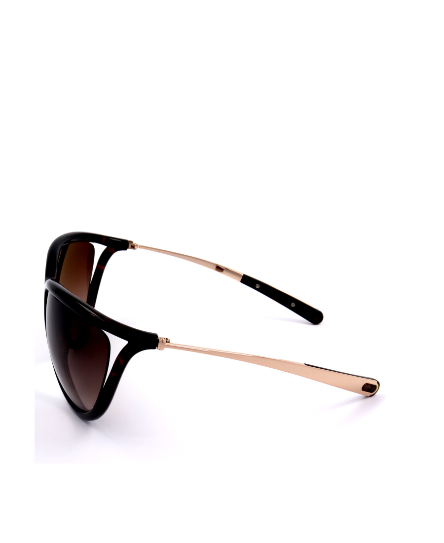 Tom Ford Eyewear Cat Eye Sunglasses In Black