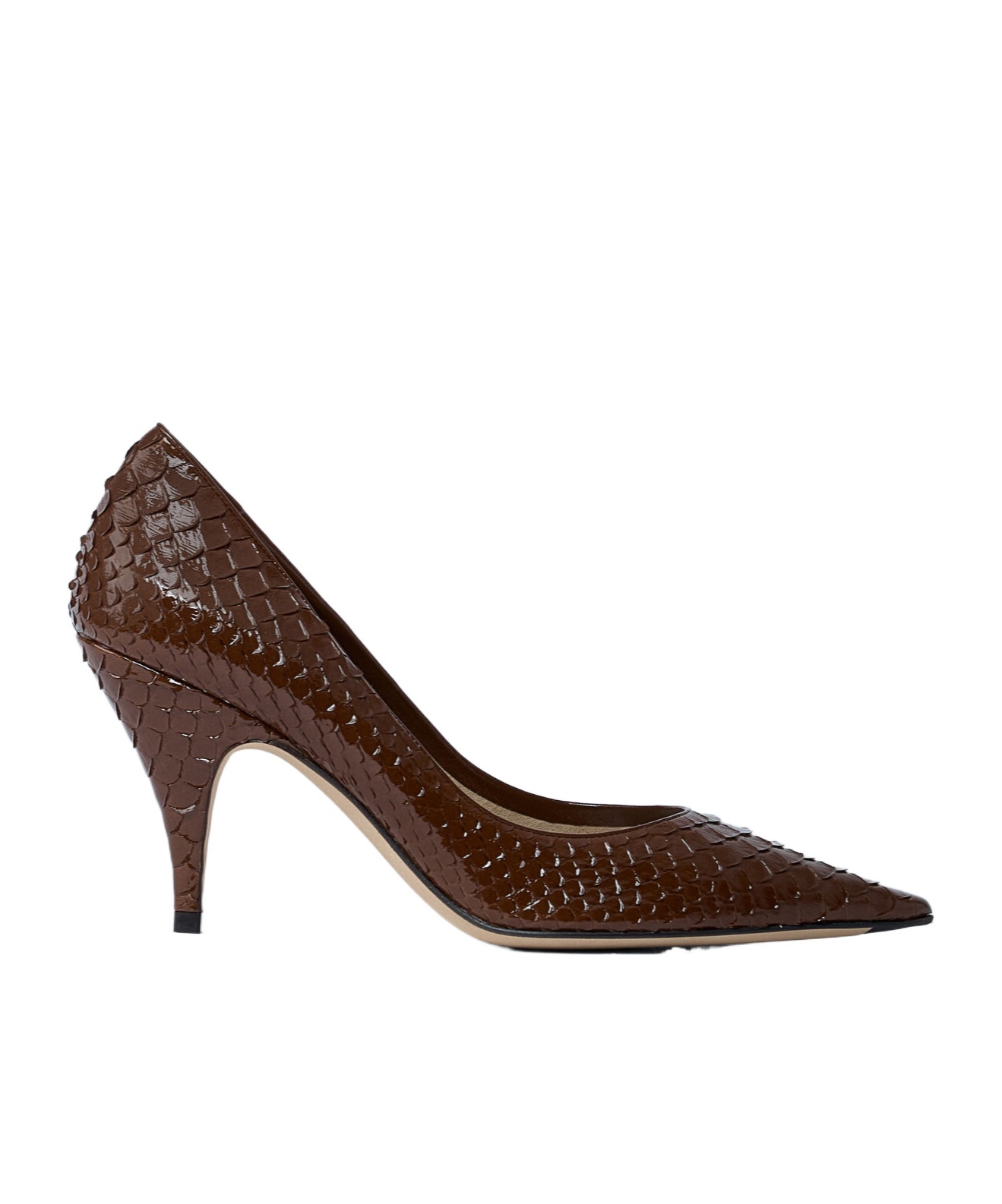 The Row Pointed High Heels In Brown