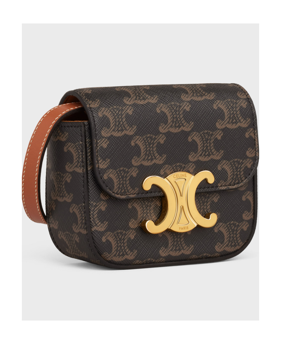 Celine Triomphe Canvas And Calfskin Mini Claude Bag In Brown