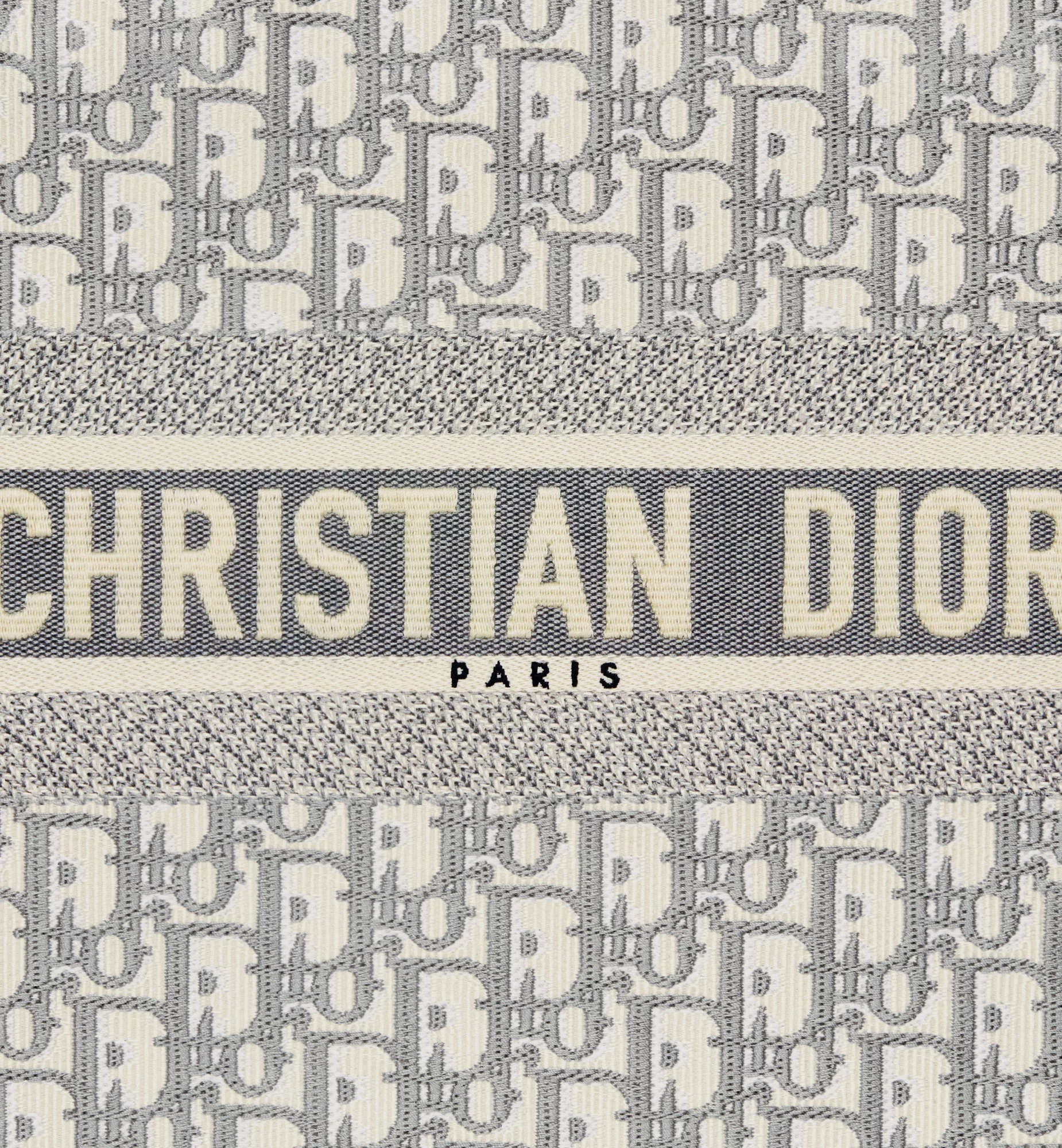 Dior Pattern Handbag In Gray