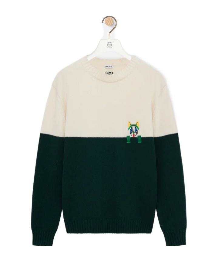Loewe X Louis Wain Embroidered Wool Sweater In Multi
