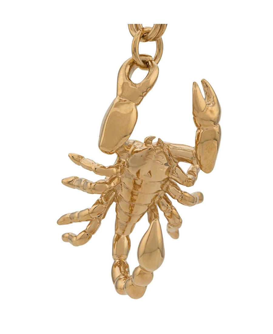 Ambush Scorpion Drop Earring In Yellow