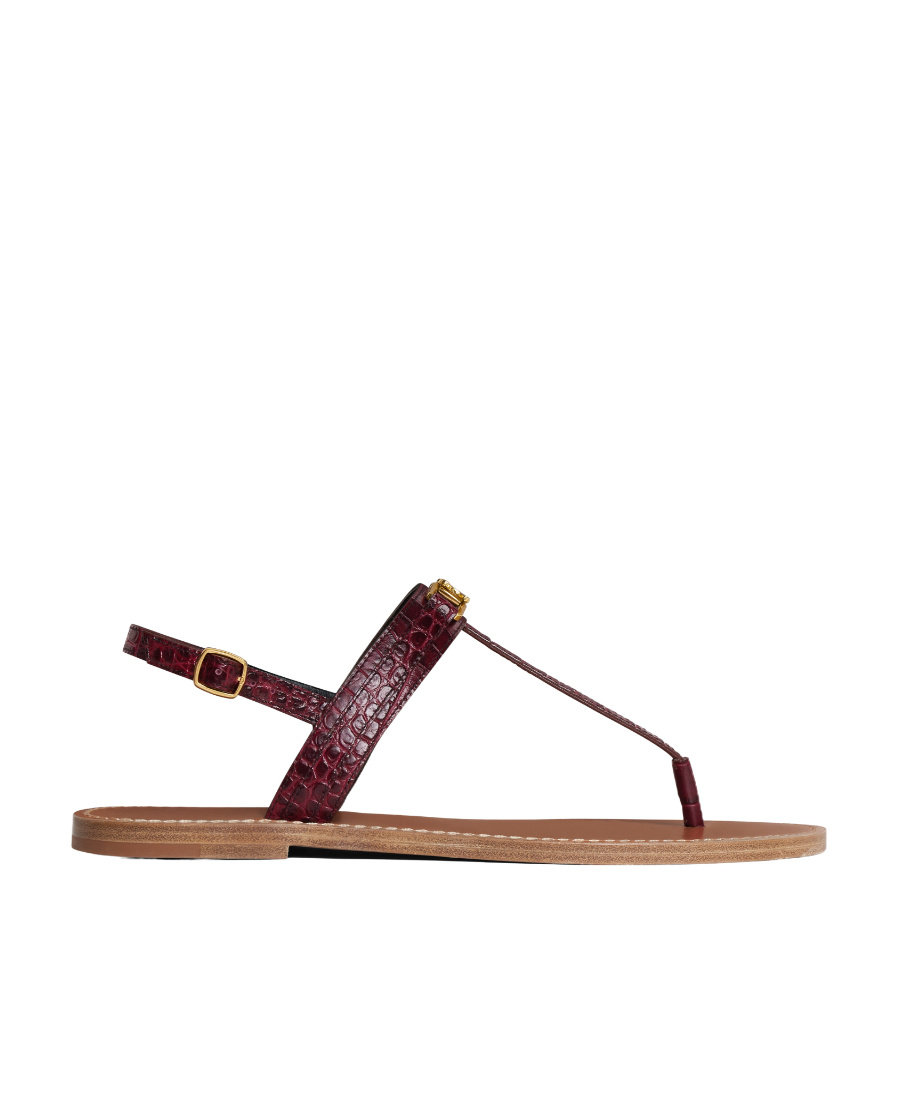 Celine Triomphe Flat-soled Sandals In Brown