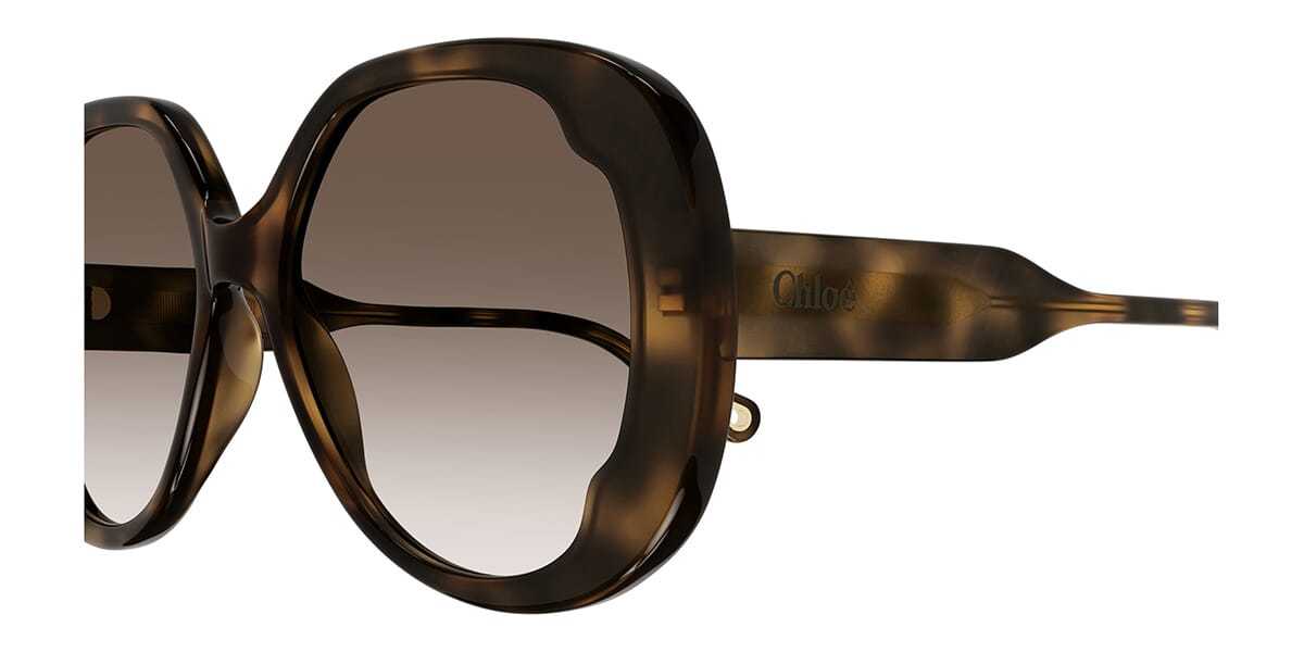 Chloé Lilli Oversize-frame Sunglasses In Brown